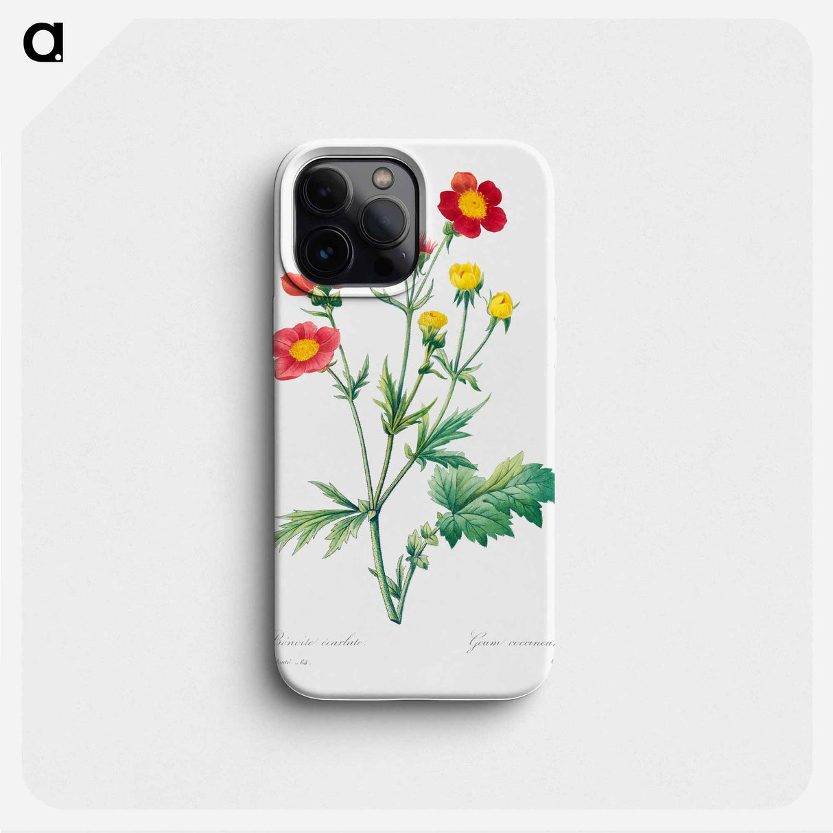 Red avens - ピエール ジョゼフ ルドゥーテ Phone Case.