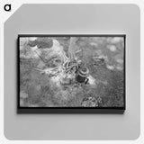アートパネル-Garden Seed for Sale
 - ラッセル リー Canvas.