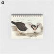 アートメモ帳-Yellow-billed Albatross
 - オーストラリアの鳥 Memo.