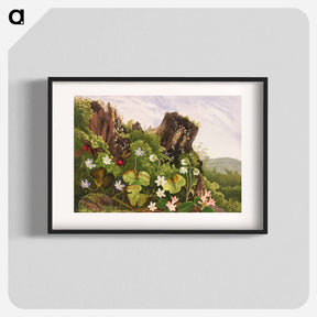 アートポスター-Wild flowers no. 2
 - ボストン公共図書館 Poster.
