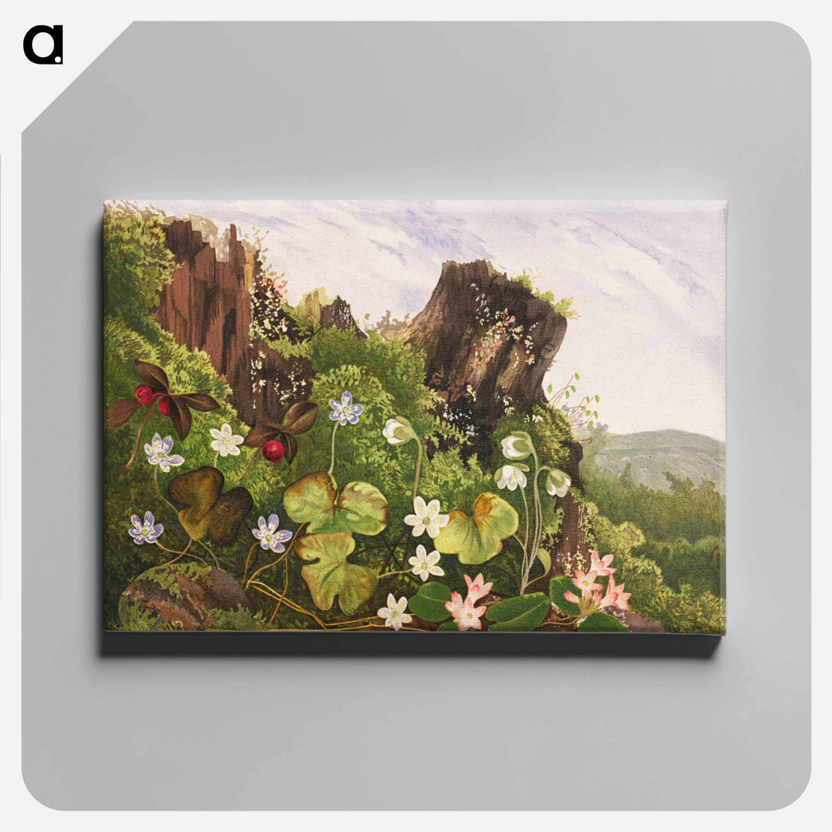 アートパネル-Wild flowers no. 2
 - ボストン公共図書館 Canvas.