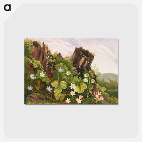 アートポストカード-Wild flowers no. 2
 - ボストン公共図書館 Postcard.