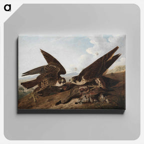 アートパネル-Peregrine Falcons
 - クリーブランド美術館 Canvas.