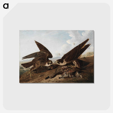 アートポストカード-Peregrine Falcons
 - クリーブランド美術館 Postcard.