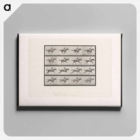 アートパネル-Galloping Horse and Rider
 - エドワード マイブリッジ Canvas.
