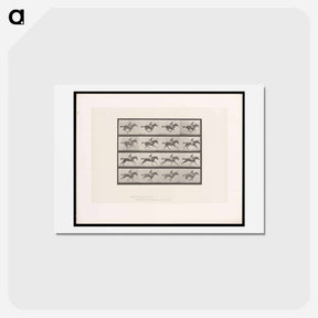アートポストカード-Galloping Horse and Rider
 - エドワード マイブリッジ Postcard.