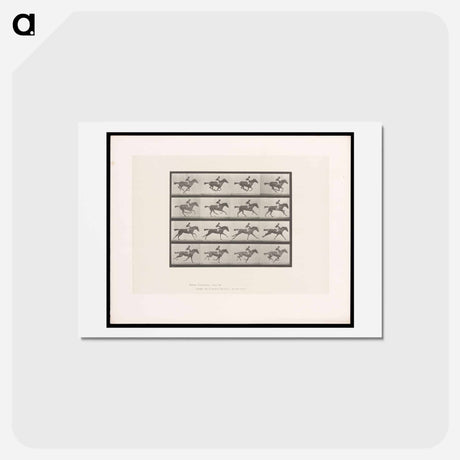 アートポストカード-Galloping Horse and Rider
 - エドワード マイブリッジ Postcard.