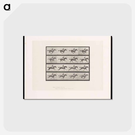 アートポストカード-Galloping Horse and Rider
 - エドワード マイブリッジ Postcard.