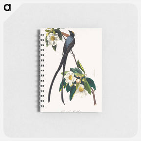 アートメモ帳-The Birds of America
 - ジョン ジェームス オーデュボン Memo.
