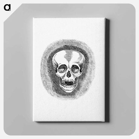 アートパネル-Skull from Two Years in Peru
 - 大英図書館 Canvas.