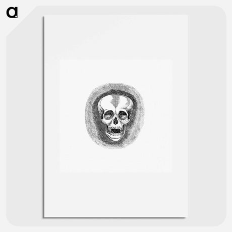 アートポスター-Skull from Two Years in Peru
 - 大英図書館 Poster.