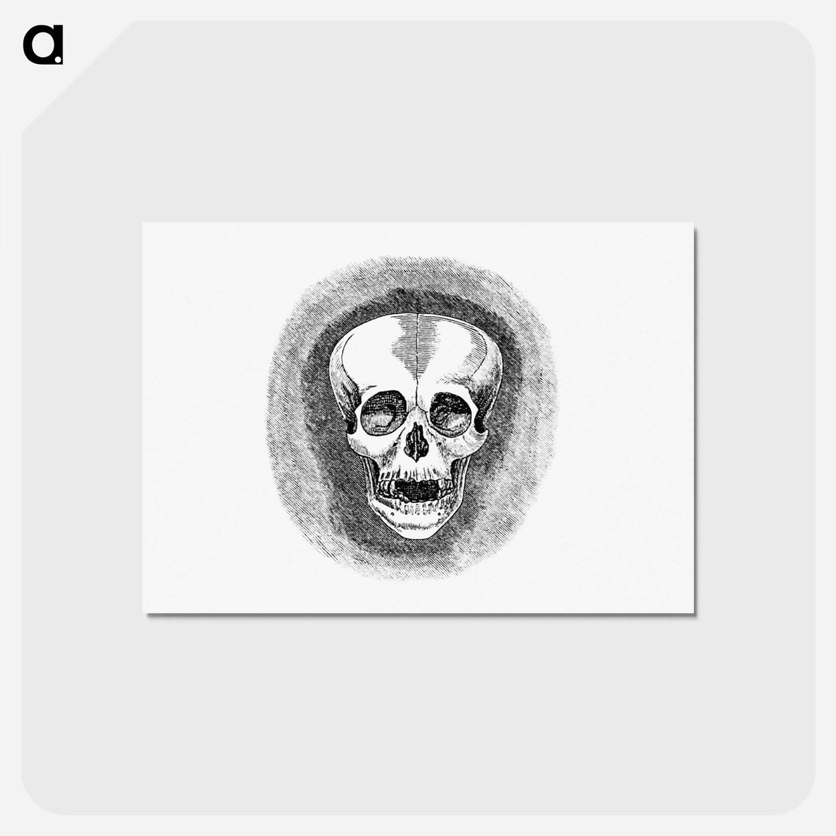 アートポストカード-Skull from Two Years in Peru
 - 大英図書館 Postcard.
