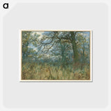 アートポストカード-Cleveland Museum of Art
 - クリーブランド美術館 Postcard.