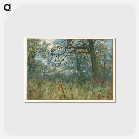 アートポストカード-Cleveland Museum of Art
 - クリーブランド美術館 Postcard.