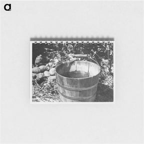 アートメモ帳-Water - ドロテア ラング Memo.