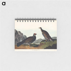 アートメモ帳-Long-tailed or Dusky Grouse
 - ジョン ジェームス オーデュボン Memo.