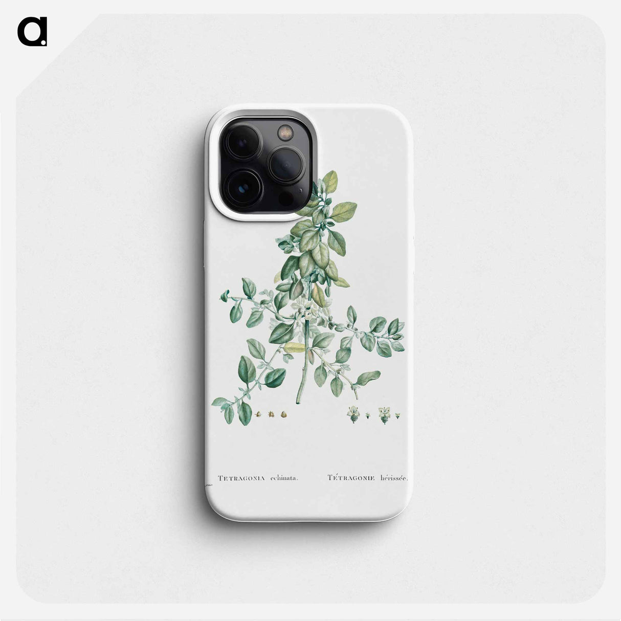 Tetragonia Echinata - Pierre Joseph Redouté Phone Case.