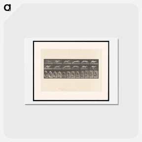 アートポストカード-Running Dog
 - エドワード マイブリッジ Postcard.
