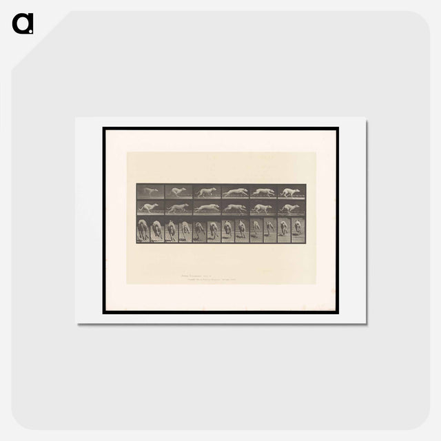 アートポストカード-Running Dog
 - エドワード マイブリッジ Postcard.