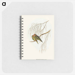 アートメモ帳-Little Lorikeet
 - ジョン グールド Memo.