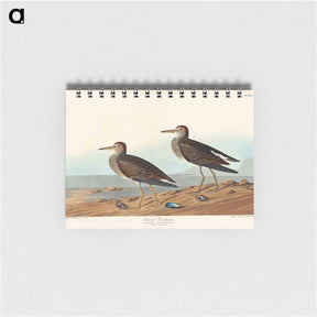 アートメモ帳-Pectoral Sandpiper from Birds of America
 - アメリカの鳥たち Memo.