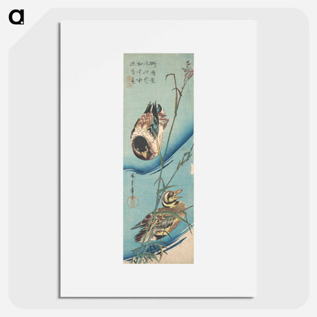 アートポスター-Mallard Ducks and Snow-covered Reeds
 - 歌川 広重 Poster.