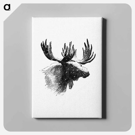 アートパネル-Moose Engraving
 - 大英図書館 Canvas.