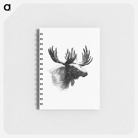 アートメモ帳-Moose Engraving
 - 大英図書館 Memo.