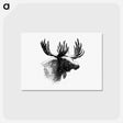 アートポストカード-Moose Engraving
 - 大英図書館 Postcard.