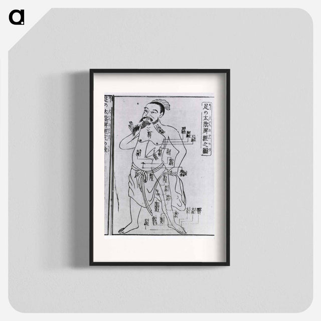 アートポスター-Acupuncture Point Illustration
 - 国立医学図書館 Poster.