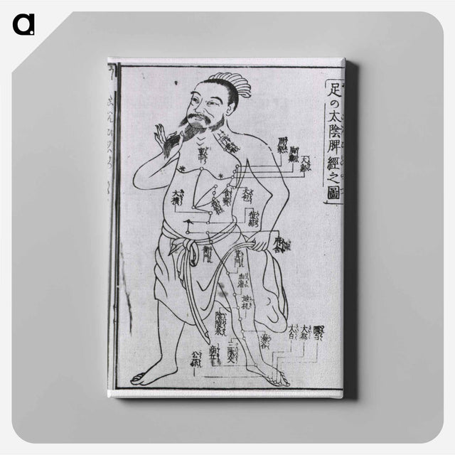 アートパネル-Acupuncture Point Illustration
 - 国立医学図書館 Canvas.