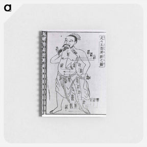 アートメモ帳-Acupuncture Point Illustration
 - 国立医学図書館 Memo.