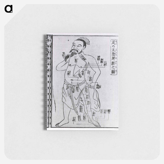 アートメモ帳-Acupuncture Point Illustration
 - 国立医学図書館 Memo.