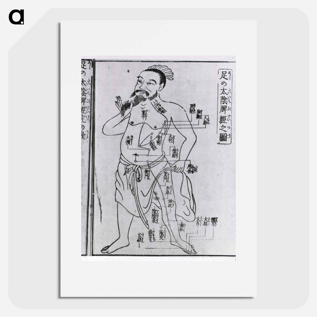 アートポスター-Acupuncture Point Illustration
 - 国立医学図書館 Poster.