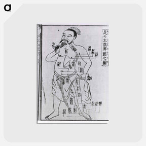 アートポストカード-Acupuncture Point Illustration
 - 国立医学図書館 Postcard.