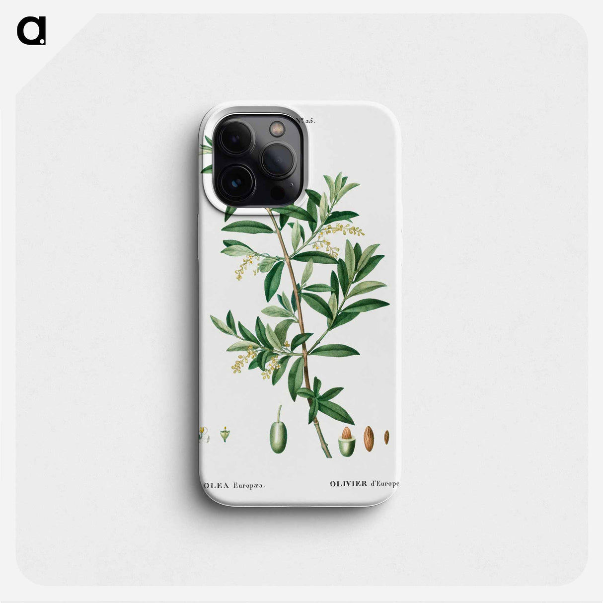 Green olive, Olea europaea - Pierre Joseph Redouté Phone Case.