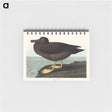 アートメモ帳-Dusky Albatros from Birds of America
 - アメリカの鳥たち Memo.
