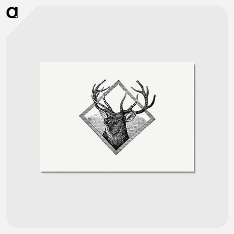 アートポストカード-Deer Head Illustration, The Queen's Jubilee and Toronto "Called Back"
 - 大英図書館 Postcard.