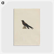 アートポストカード-Cleveland Museum of Art
 - クリーブランド美術館 Postcard.