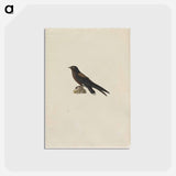 アートポストカード-Cleveland Museum of Art
 - クリーブランド美術館 Postcard.