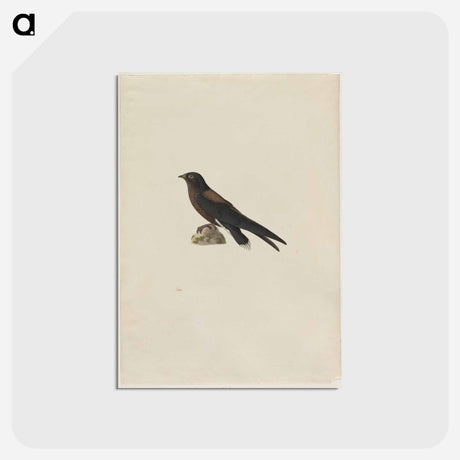 アートポストカード-Cleveland Museum of Art
 - クリーブランド美術館 Postcard.