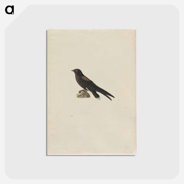 アートポストカード-Cleveland Museum of Art
 - クリーブランド美術館 Postcard.