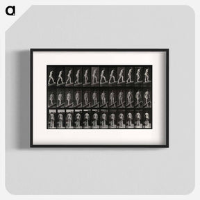 アートポスター-Woman on a Plank
 - エドワード マイブリッジ Poster.