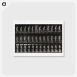 アートポストカード-Woman on a Plank
 - エドワード マイブリッジ Postcard.