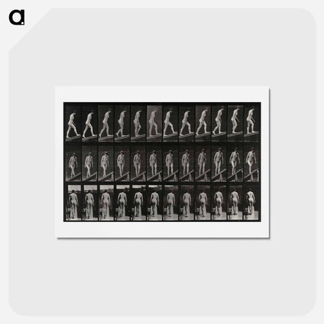 アートポストカード-Woman on a Plank
 - エドワード マイブリッジ Postcard.