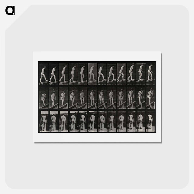 アートポストカード-Woman on a Plank
 - エドワード マイブリッジ Postcard.