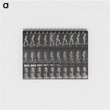 アートメモ帳-Woman on a Plank
 - エドワード マイブリッジ Memo.