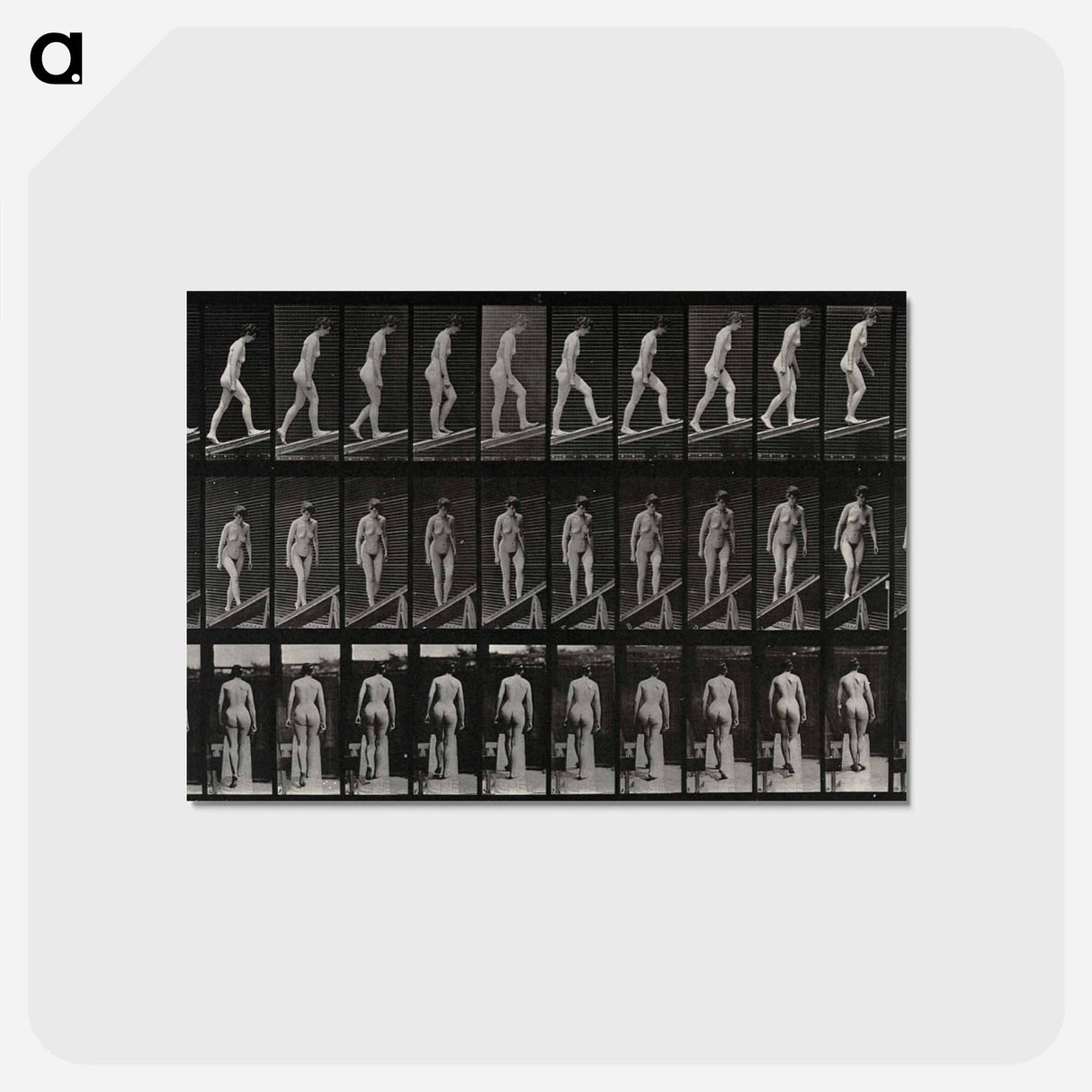 アートポストカード-Woman on a Plank
 - エドワード マイブリッジ Postcard.