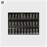 アートポストカード-Woman on a Plank
 - エドワード マイブリッジ Postcard.
