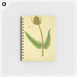 アートメモ帳-Dipsacus silvestris, labrum veneris
 - 国立医学図書館 Memo.
